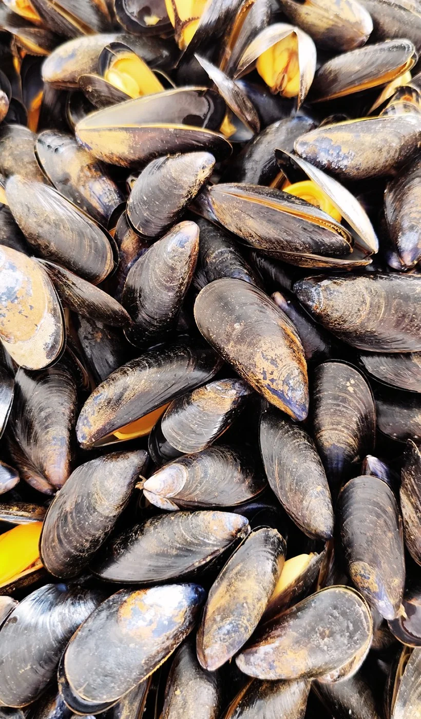 Mersea Plateau De Fruits De Mer Benesse Maremne Plats Cuisines 8