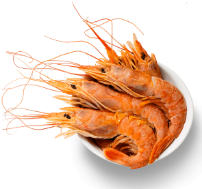 Mersea Plateau De Fruits De Mer Benesse Maremne After
