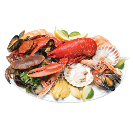 Mersea Plateau De Fruits De Mer Benesse Maremne Apres