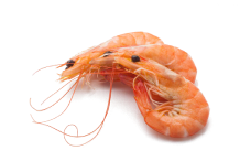 Mersea Plateau De Fruits De Mer Benesse Maremne Avant