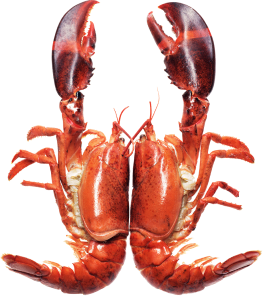 Mersea Plateau De Fruits De Mer Benesse Maremne Before