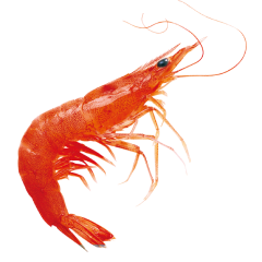 Mersea Plateau De Fruits De Mer Benesse Maremne Bf